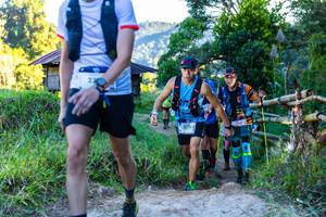 BIB: 207, 2541
                            <button type="button" onclick="openModal(19009583)" class="btn btn-primary btn-sm float-right btn-popup" data-toggle="modal" data-target=".modal-high-quality">
                        <i class="fas fa-shopping-cart"></i> Add to Cart
                    </button>
                                            <button type="button" onclick="isThisMe(19009583, true)" class="btn btn-success btn-sm float-right btn-popup btn-isme hidden" data-toggle="tooltip" data-placement="bottom" title="นี่คือรูปของคุณใช่ไหม คลิกที่นี่เพื่อเอาเข้าอัลบั้ม">
                        <i class="fas fa-plus"></i> Add to album
                    </button>
                    <button type="button" onclick="isThisMe(19009583, false)" class="btn btn-warning btn-sm float-right btn-popup btn-isnotme hidden">
                        <i class="fas fa-ban"></i> Remove from album
                    </button>